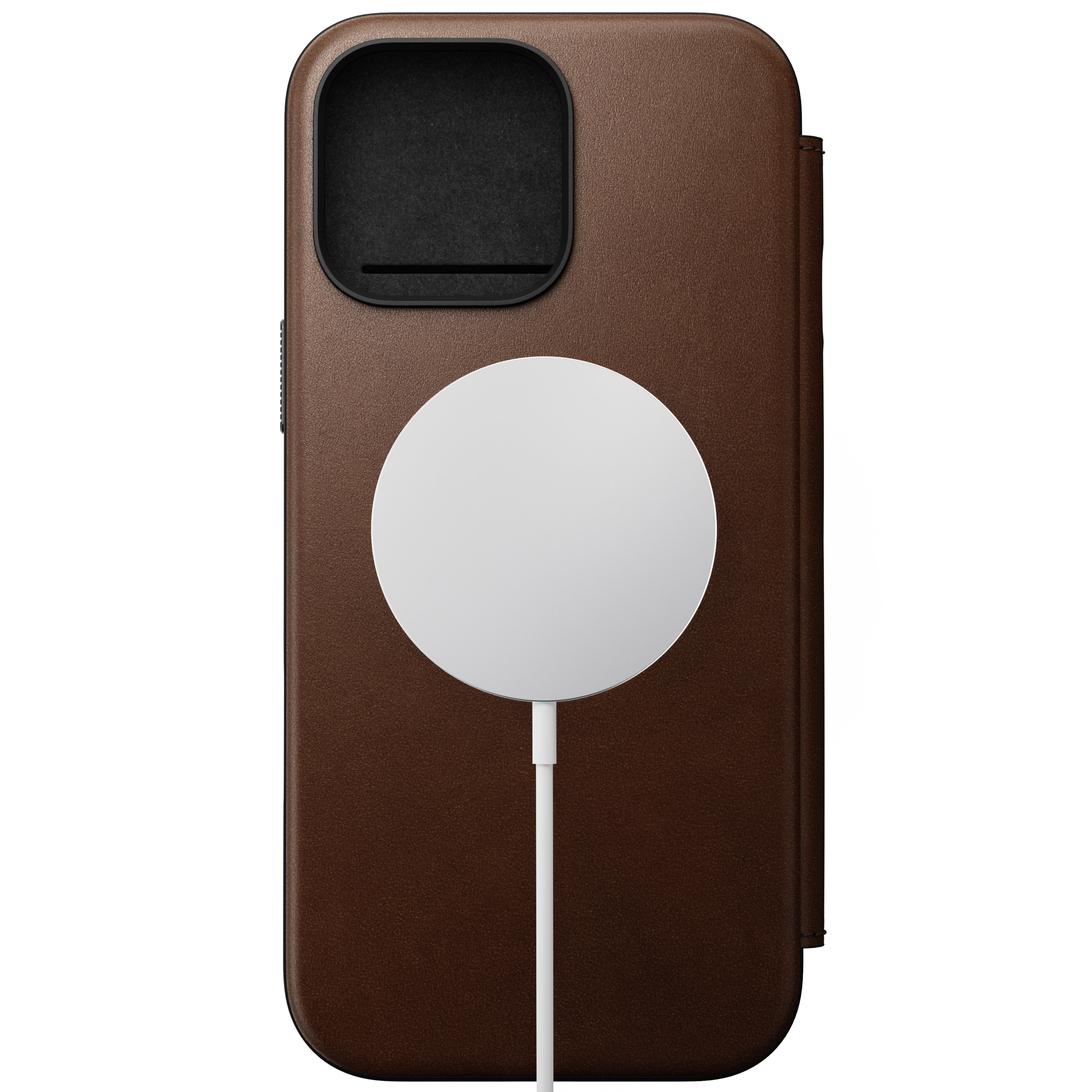 #color_brown