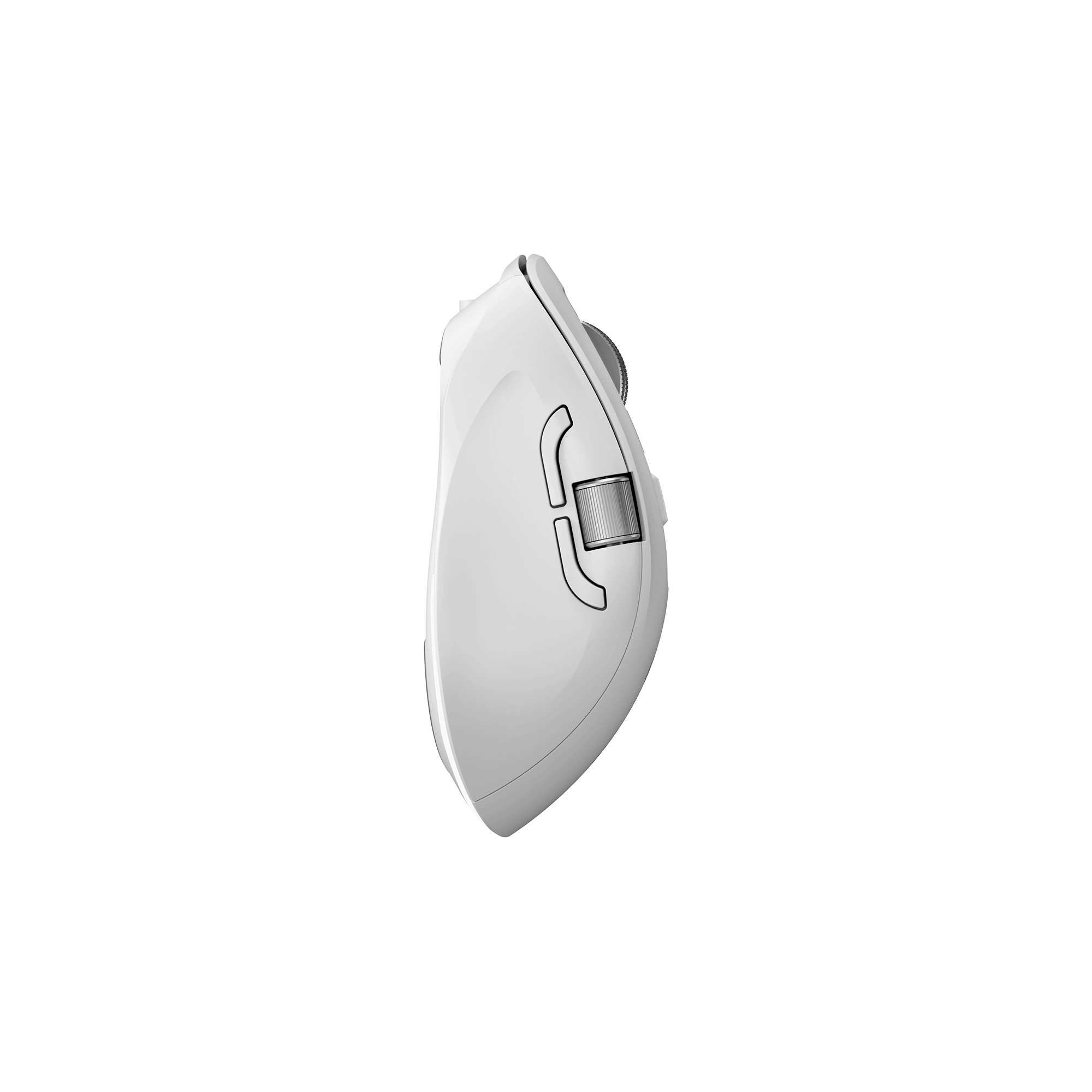 #color_white