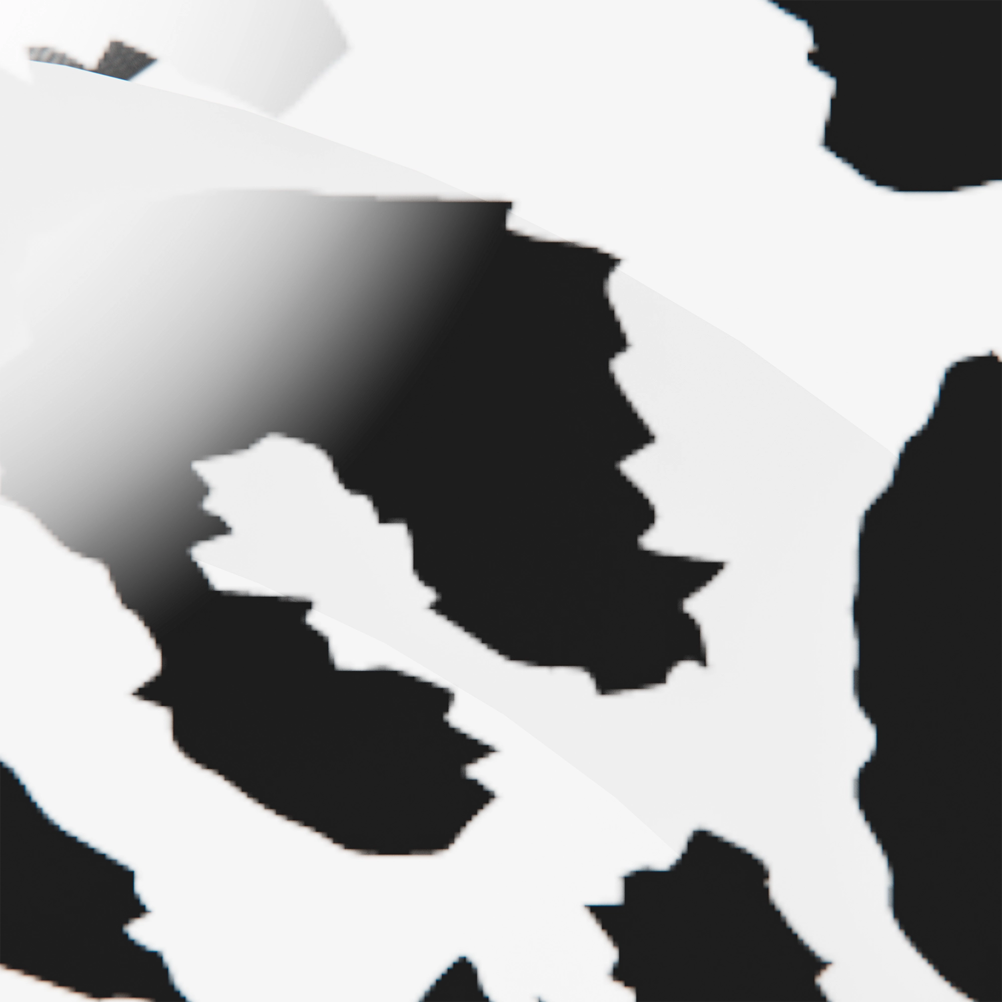 #color_chrome leopard