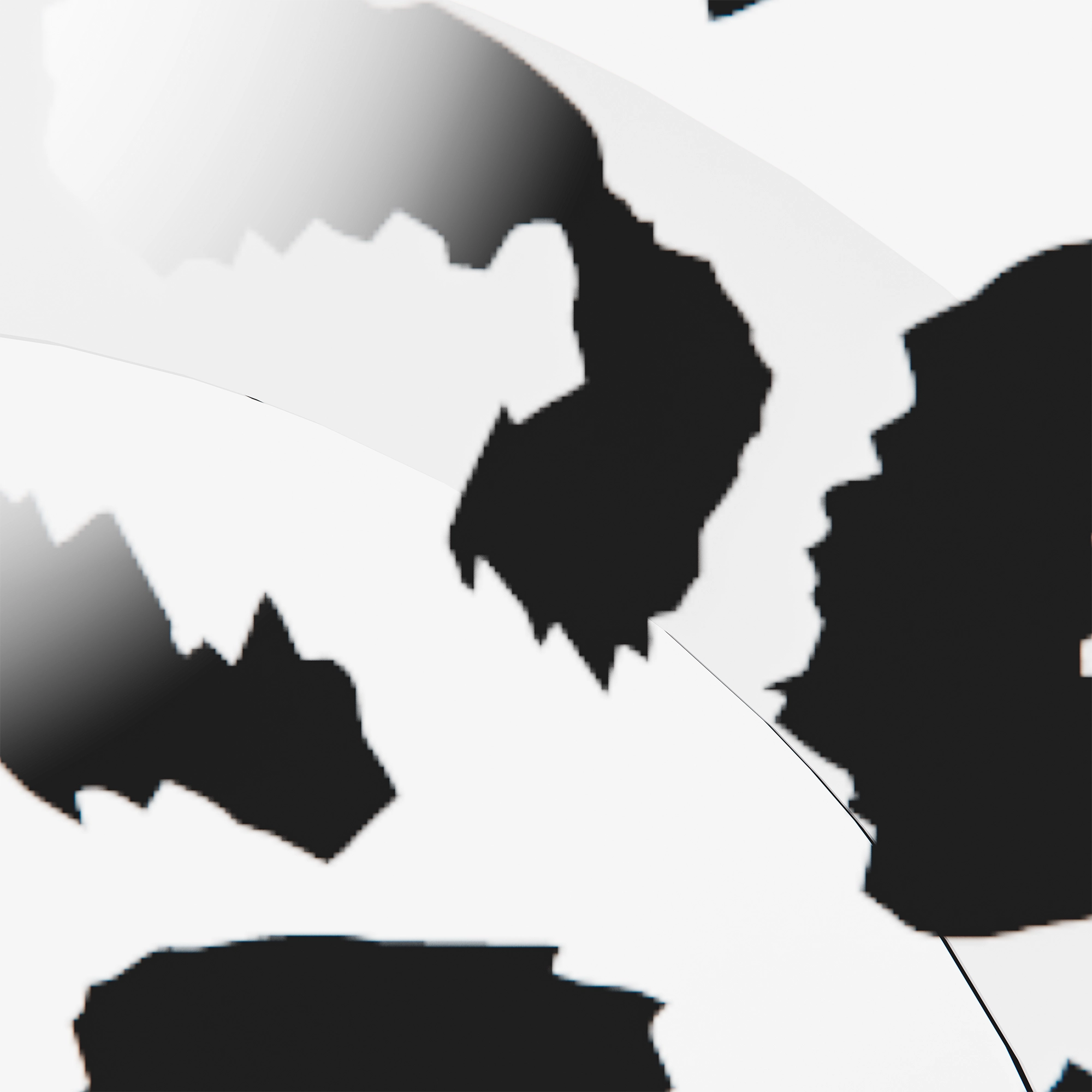 #color_chrome leopard