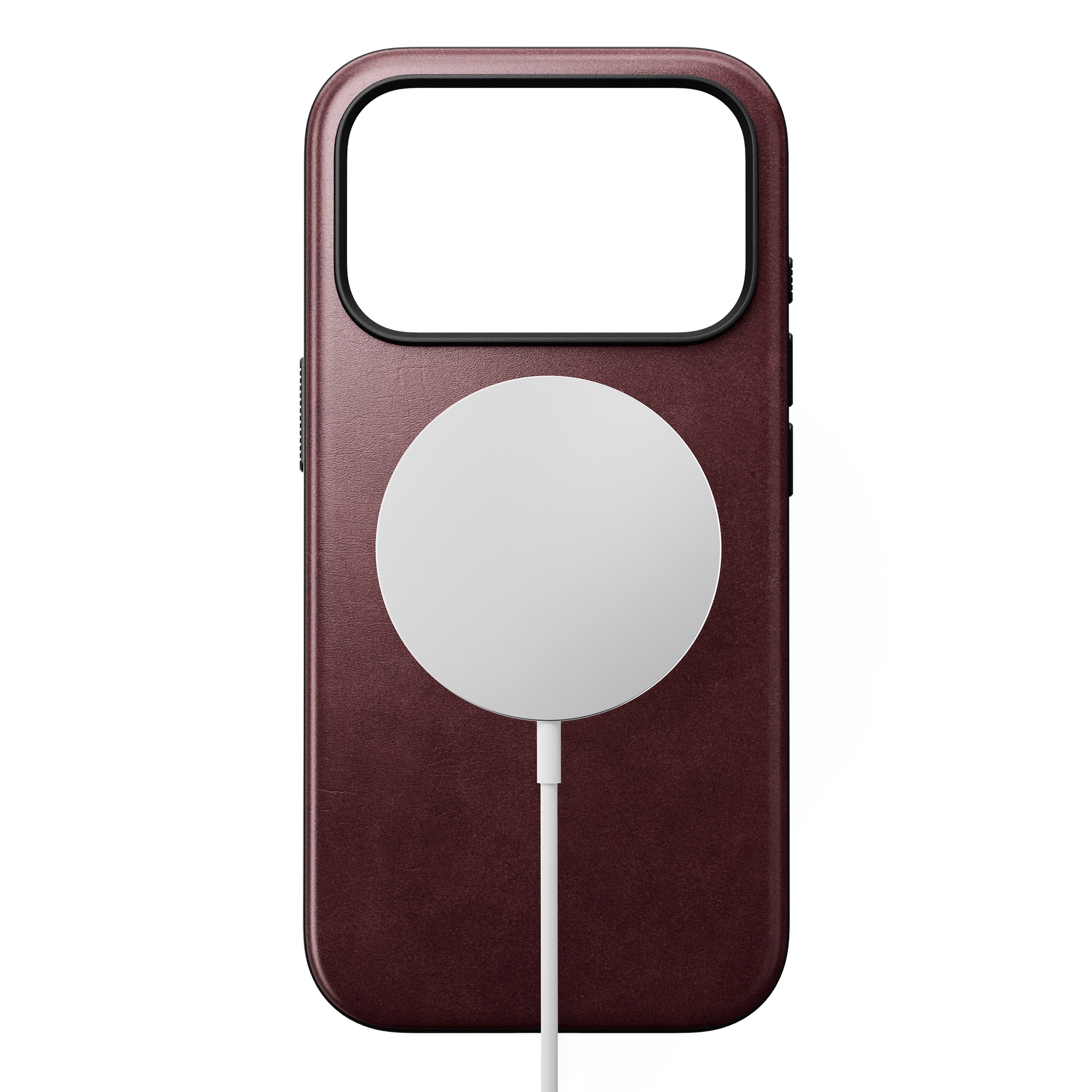 #color_burgundy