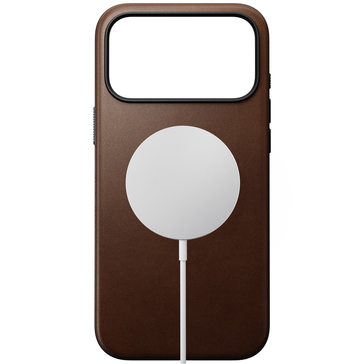 #color_brown