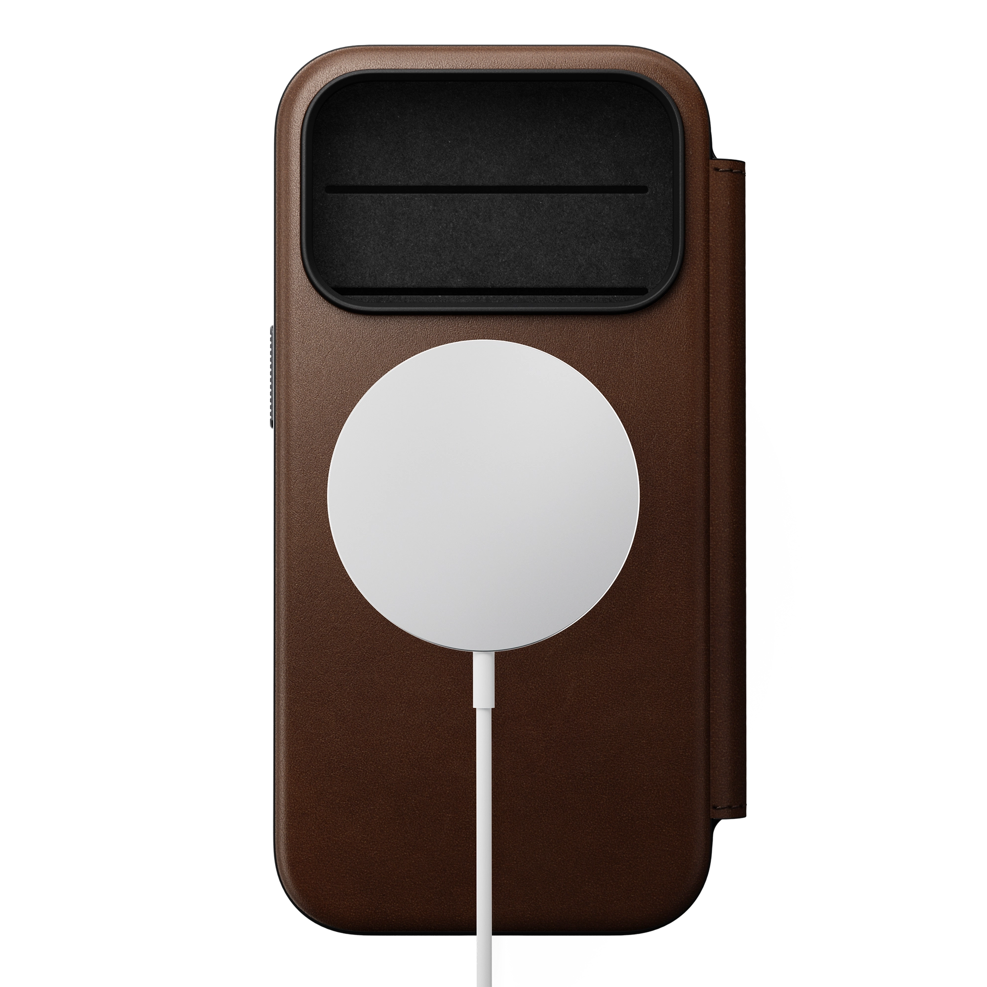 #color_brown