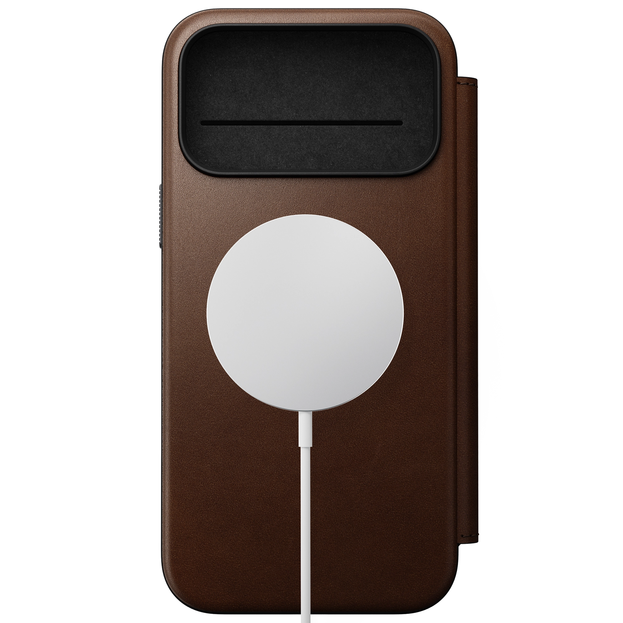#color_brown