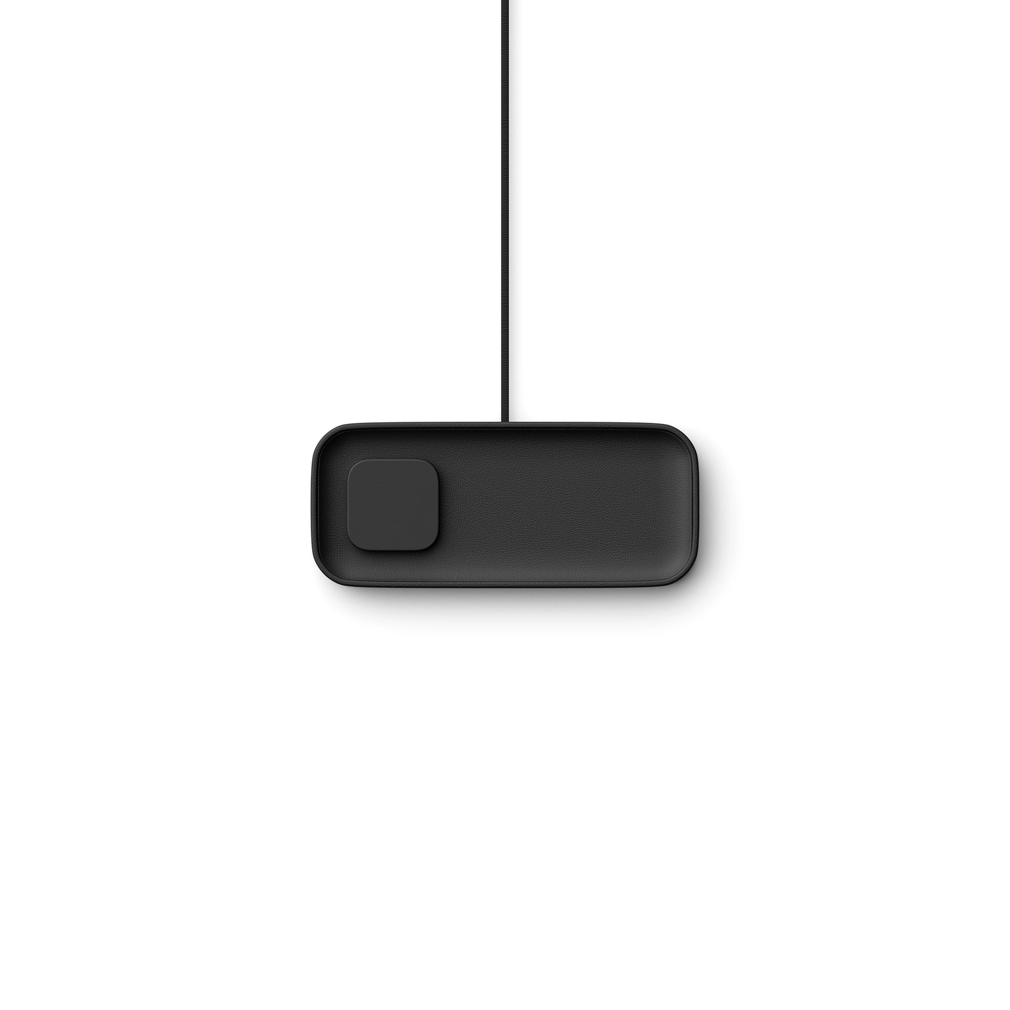 #color_black/black