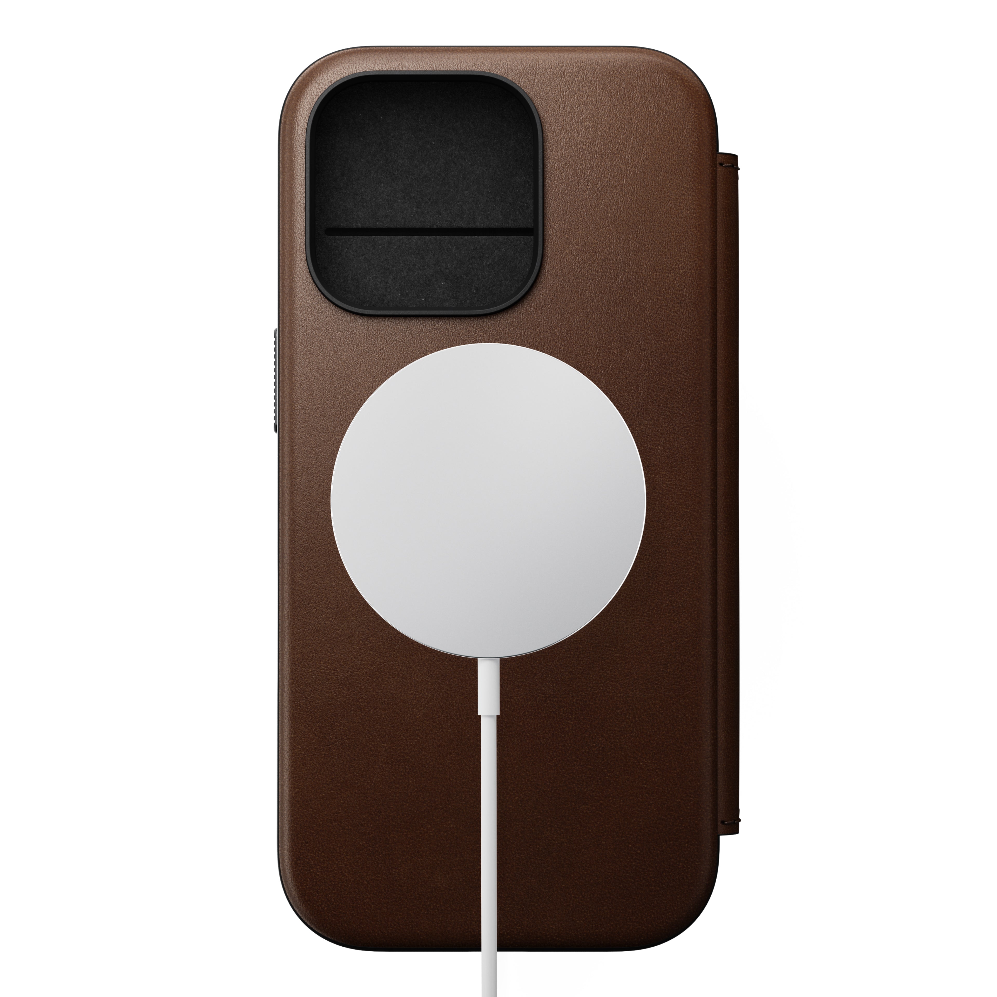 #color_brown