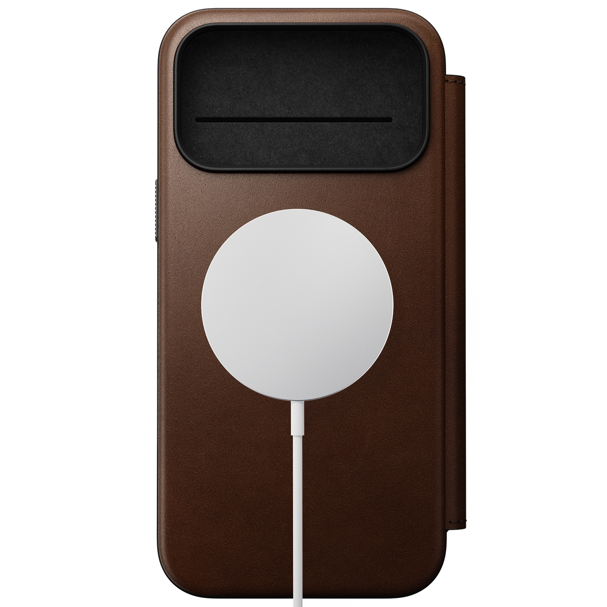 #color_brown