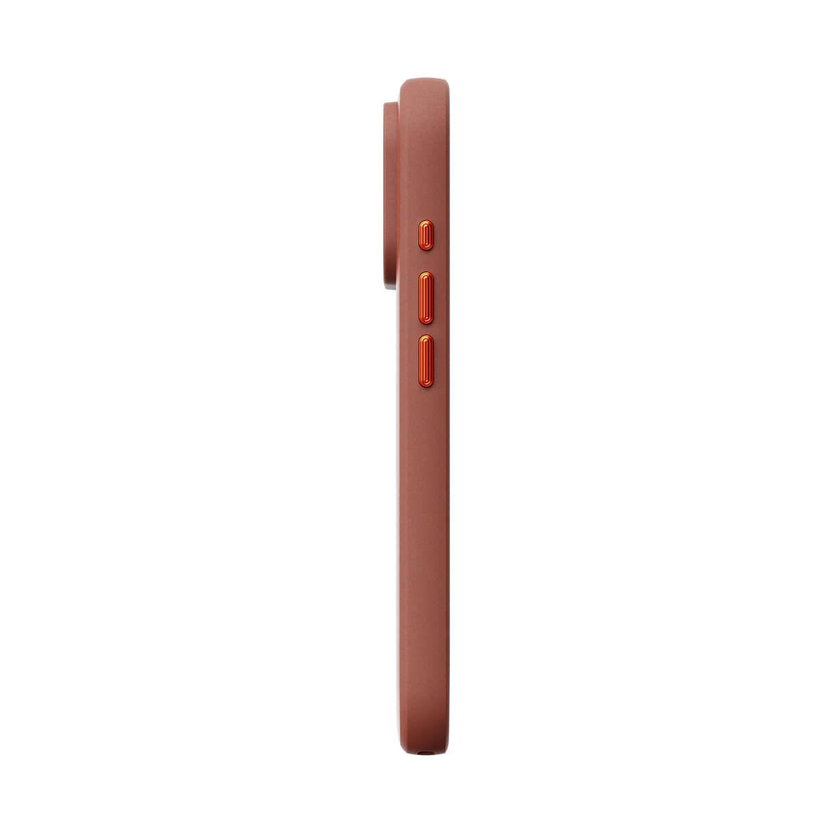 #color_redwood